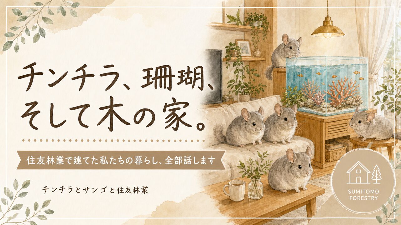 住友林業で叶えた暮らし｜チンチラ5頭・サンゴ水槽・木の家で生きる私たちのリアル